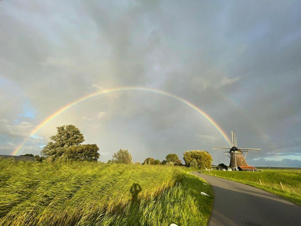 Mondriaanmolen, A Real Windmill Close To Amsterdam Абкауде Экстерьер фото
